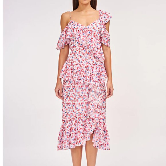 Amur Dylan Dress - Picture 1 of 12